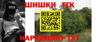 амф Камышлов