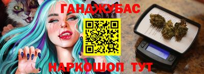 амф Камышлов