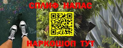 ECSTASY Канаш