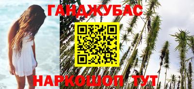 амф Камышлов