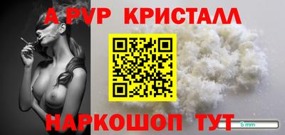 ECSTASY Канаш